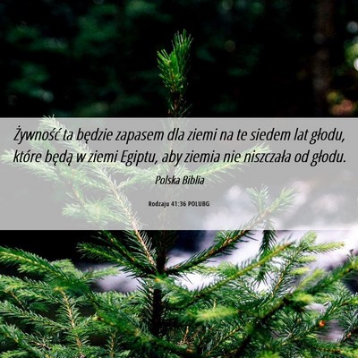 Picture 06 - Rodzaju 41:36 POLUBG - Żywność ta będzie zapasem dla ziemi na te - Bible Verse Picture