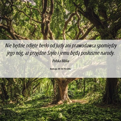 Picture 06 - Rodzaju 49:10 POLUBG - Nie będzie odjęte berło od Judy ani prawodawca - Bible Verse Picture