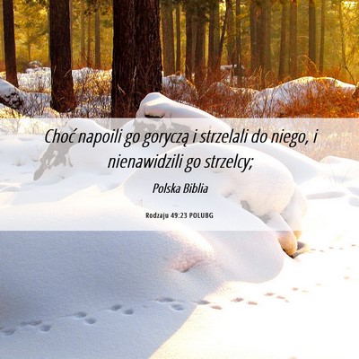 Picture 06 - Rodzaju 49:23 POLUBG - Choć napoili go goryczą i strzelali do niego, i - Bible Verse Picture