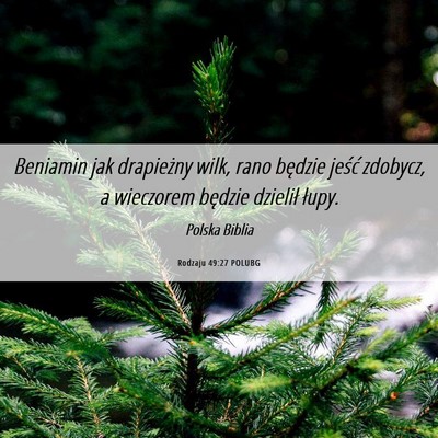 Picture 06 - Rodzaju 49:27 POLUBG - Beniamin jak drapieżny wilk, rano będzie jeść - Bible Verse Picture