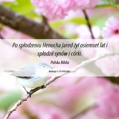 Picture 06 - Rodzaju 5:19 POLUBG - Po spłodzeniu Henocha Jared żył osiemset lat i - Bible Verse Picture
