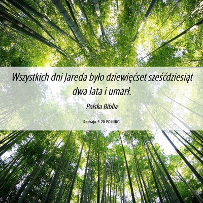 Picture 06 - Rodzaju 5:20 POLUBG - Wszystkich dni Jareda było dziewięćset - Bible Verse Picture