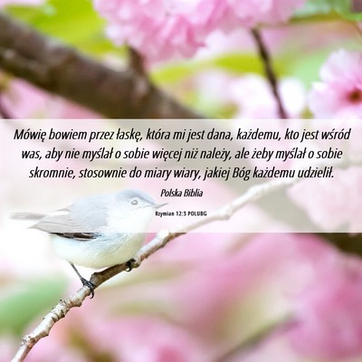 Picture 06 - Rzymian 12:3 POLUBG - Mówię bowiem przez łaskę, która mi jest - Bible Verse Picture