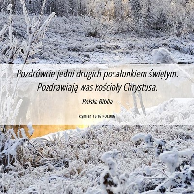 Picture 06 - Rzymian 16:16 POLUBG - Pozdrówcie jedni drugich pocałunkiem świętym. - Bible Verse Picture