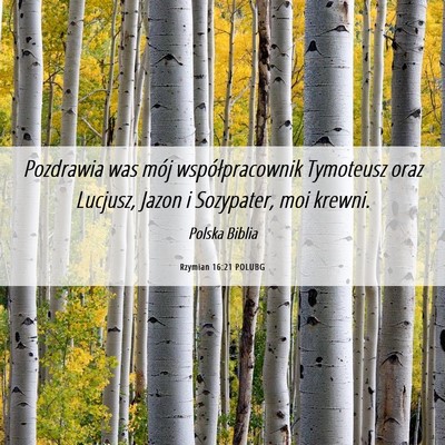 Picture 06 - Rzymian 16:21 POLUBG - Pozdrawia was mój współpracownik Tymoteusz - Bible Verse Picture
