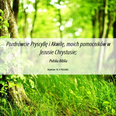 Picture 06 - Rzymian 16:3 POLUBG - Pozdrówcie Pryscyllę i Akwilę, moich - Bible Verse Picture