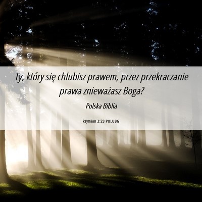 Picture 06 - Rzymian 2:23 POLUBG - Ty, który się chlubisz prawem, przez - Bible Verse Picture