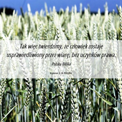 Picture 06 - Rzymian 3:28 POLUBG - Tak więc twierdzimy, że człowiek zostaje - Bible Verse Picture
