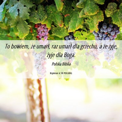 Picture 06 - Rzymian 6:10 POLUBG - To bowiem, że umarł, raz umarł dla grzechu, a - Bible Verse Picture