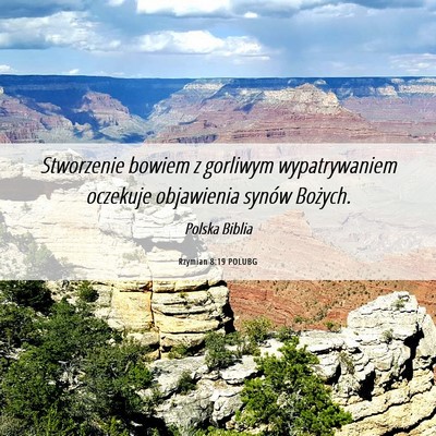 Picture 06 - Rzymian 8:19 POLUBG - Stworzenie bowiem z gorliwym wypatrywaniem - Bible Verse Picture