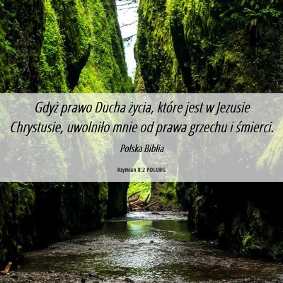 Picture 06 - Rzymian 8:2 POLUBG - Gdyż prawo Ducha życia, które jest w Jezusie - Bible Verse Picture