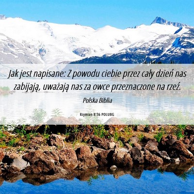 Picture 06 - Rzymian 8:36 POLUBG - Jak jest napisane: Z powodu ciebie przez cały - Bible Verse Picture