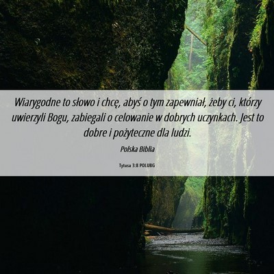 Picture 06 - Tytusa 3:8 POLUBG - Wiarygodne to słowo i chcę, abyś o tym - Bible Verse Picture