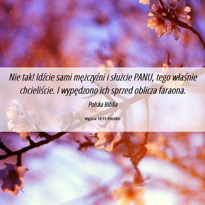 Picture 06 - Wyjścia 10:11 POLUBG - Nie tak! Idźcie sami mężczyźni i służcie - Bible Verse Picture