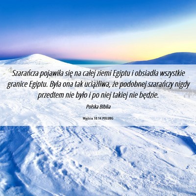 Picture 06 - Wyjścia 10:14 POLUBG - Szarańcza pojawiła się na całej ziemi Egiptu - Bible Verse Picture