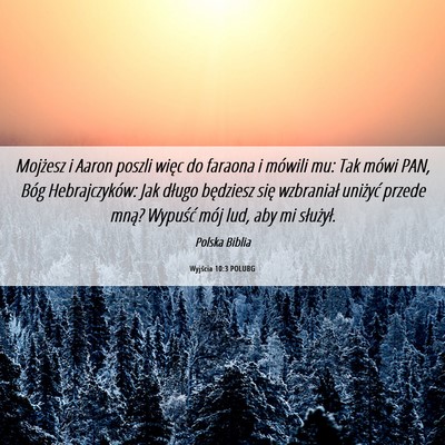 Picture 06 - Wyjścia 10:3 POLUBG - Mojżesz i Aaron poszli więc do faraona i - Bible Verse Picture