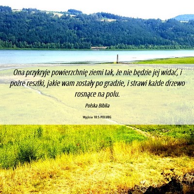 Picture 06 - Wyjścia 10:5 POLUBG - Ona przykryje powierzchnię ziemi tak, że nie - Bible Verse Picture