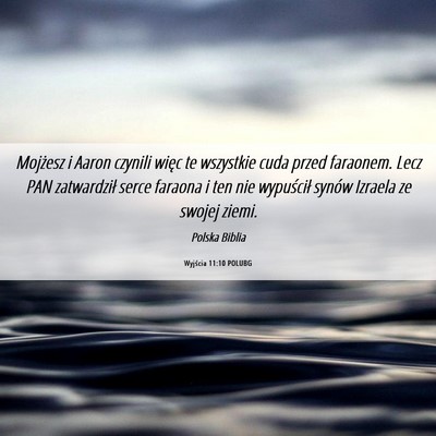 Picture 06 - Wyjścia 11:10 POLUBG - Mojżesz i Aaron czynili więc te wszystkie cuda - Bible Verse Picture