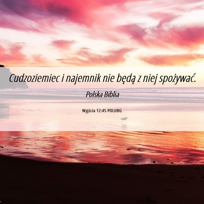 Picture 06 - Wyjścia 12:45 POLUBG - Cudzoziemiec i najemnik nie będą z niej - Bible Verse Picture
