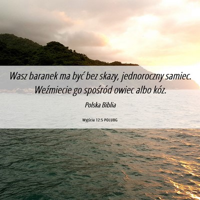 Picture 06 - Wyjścia 12:5 POLUBG - Wasz baranek ma być bez skazy, jednoroczny - Bible Verse Picture