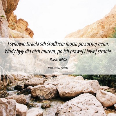 Picture 06 - Wyjścia 14:22 POLUBG - I synowie Izraela szli środkiem morza po suchej - Bible Verse Picture