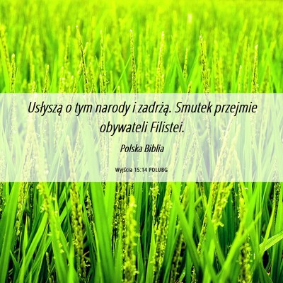 Picture 06 - Wyjścia 15:14 POLUBG - Usłyszą o tym narody i zadrżą. Smutek - Bible Verse Picture