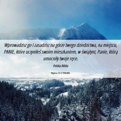 Picture 06 - Wyjścia 15:17 POLUBG - Wprowadzisz go i zasadzisz na górze twego - Bible Verse Picture