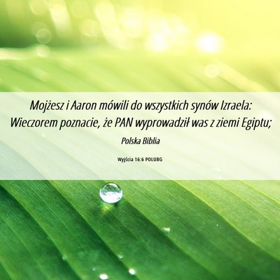 Picture 06 - Wyjścia 16:6 POLUBG - Mojżesz i Aaron mówili do wszystkich synów - Bible Verse Picture