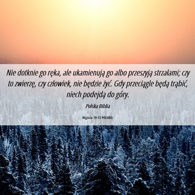 Picture 06 - Wyjścia 19:13 POLUBG - Nie dotknie go ręka, ale ukamienują go albo - Bible Verse Picture