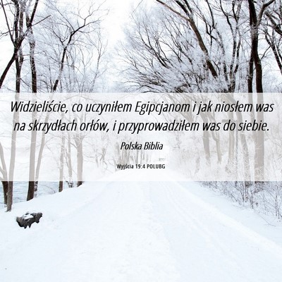 Picture 06 - Wyjścia 19:4 POLUBG - Widzieliście, co uczyniłem Egipcjanom i jak - Bible Verse Picture
