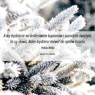 Picture 06 - Wyjścia 19:6 POLUBG - A wy będziecie mi królestwem kapłanów i - Bible Verse Picture