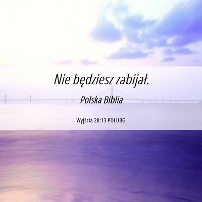Picture 06 - Wyjścia 20:13 POLUBG - Nie będziesz - Bible Verse Picture