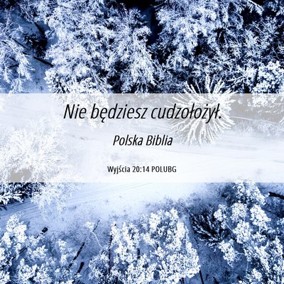 Picture 06 - Wyjścia 20:14 POLUBG - Nie będziesz - Bible Verse Picture