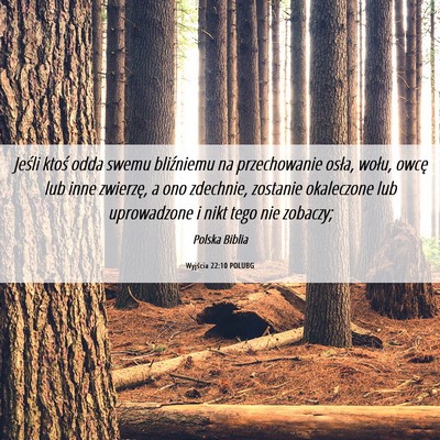 Picture 06 - Wyjścia 22:10 POLUBG - Jeśli ktoś odda swemu bliźniemu na - Bible Verse Picture