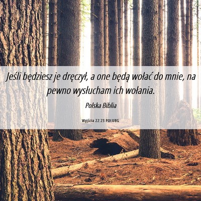 Picture 06 - Wyjścia 22:23 POLUBG - Jeśli będziesz je dręczył, a one będą - Bible Verse Picture