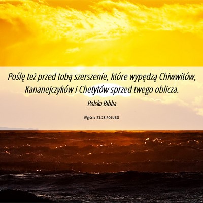 Picture 06 - Wyjścia 23:28 POLUBG - Poślę też przed tobą szerszenie, które - Bible Verse Picture