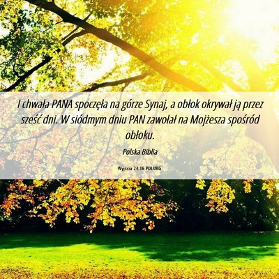 Picture 06 - Wyjścia 24:16 POLUBG - I chwała PANA spoczęła na górze Synaj, a - Bible Verse Picture