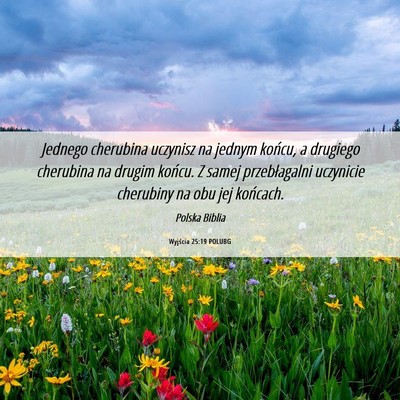 Picture 06 - Wyjścia 25:19 POLUBG - Jednego cherubina uczynisz na jednym końcu, a - Bible Verse Picture