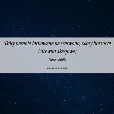 Picture 06 - Wyjścia 25:5 POLUBG - Skóry baranie farbowane na czerwono, skóry - Bible Verse Picture