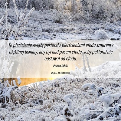Picture 06 - Wyjścia 28:28 POLUBG - Te pierścienie zwiążą pektorał z - Bible Verse Picture