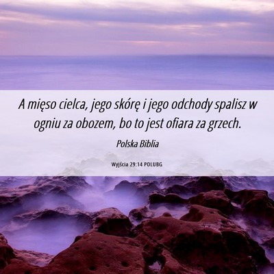 Picture 06 - Wyjścia 29:14 POLUBG - A mięso cielca, jego skórę i jego odchody - Bible Verse Picture