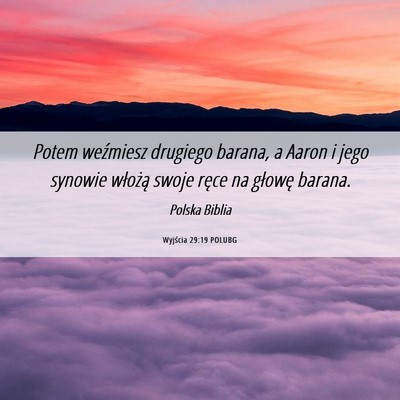 Picture 06 - Wyjścia 29:19 POLUBG - Potem weźmiesz drugiego barana, a Aaron i jego - Bible Verse Picture