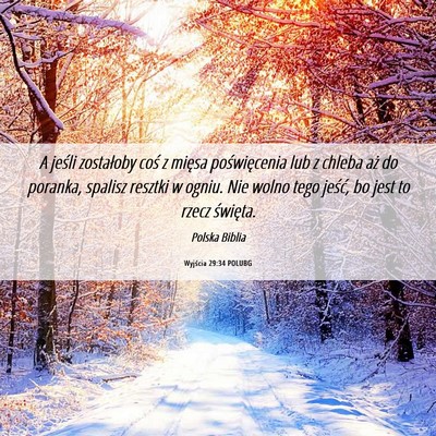 Picture 06 - Wyjścia 29:34 POLUBG - A jeśli zostałoby coś z mięsa poświęcenia - Bible Verse Picture