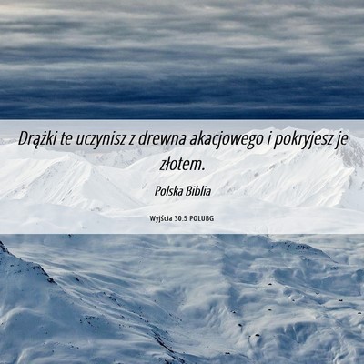 Picture 06 - Wyjścia 30:5 POLUBG - Drążki te uczynisz z drewna akacjowego i - Bible Verse Picture