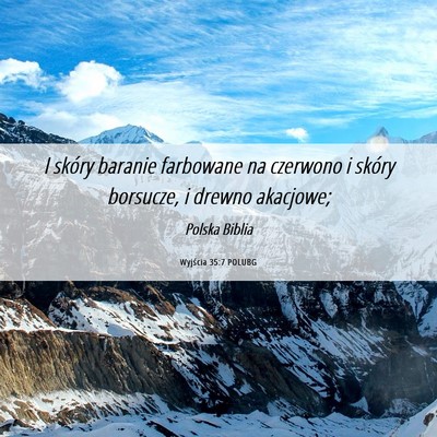 Picture 06 - Wyjścia 35:7 POLUBG - I skóry baranie farbowane na czerwono i skóry - Bible Verse Picture