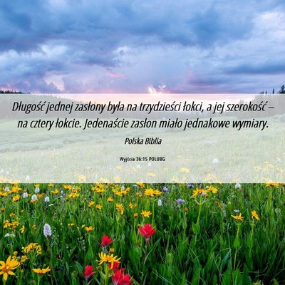 Picture 06 - Wyjścia 36:15 POLUBG - Długość jednej zasłony była na trzydzieści - Bible Verse Picture