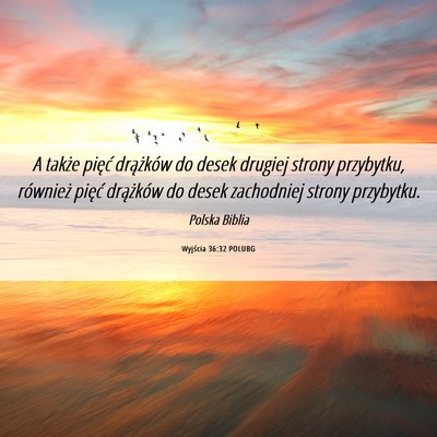 Picture 06 - Wyjścia 36:32 POLUBG - A także pięć drążków do desek drugiej - Bible Verse Picture