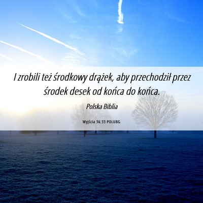 Picture 06 - Wyjścia 36:33 POLUBG - I zrobili też środkowy drążek, aby - Bible Verse Picture