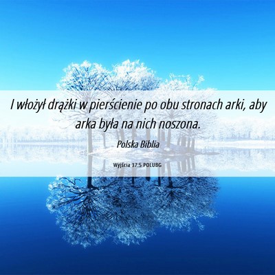 Picture 06 - Wyjścia 37:5 POLUBG - I włożył drążki w pierścienie po obu - Bible Verse Picture