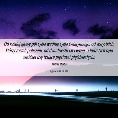 Picture 06 - Wyjścia 38:26 POLUBG - Od każdej głowy pół sykla według sykla - Bible Verse Picture